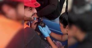 PetWireDaily — Cat Pulled Alive From Earthquake Rubble Nearly One Month Later