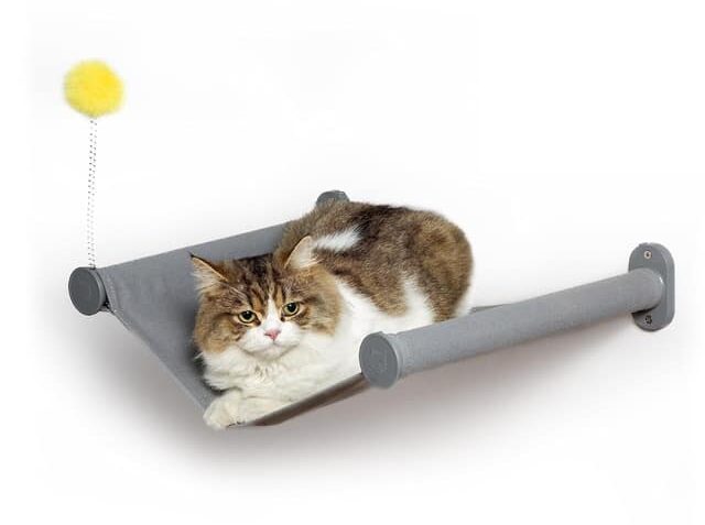 Wall-mounted cat hammock perch