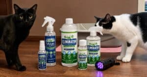 PetWireDaily — Why My House Stopped Smelling Like Cats (Even Though I Have Seven)