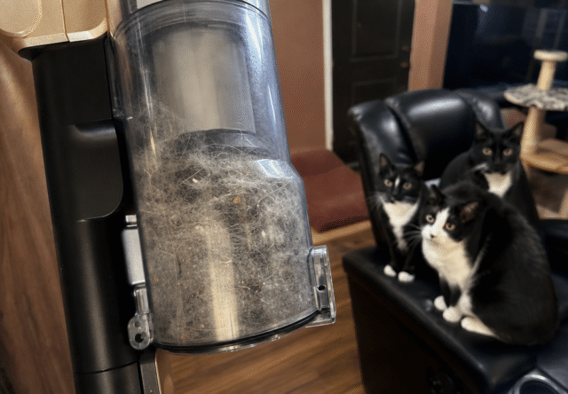Levoit VortexIQ Pro dust bin packed with cat hair and litter after one pass in a seven-cat home