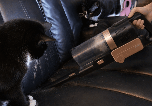 Handheld vacuum removing cat hair from a black leather sofa while two cats supervise