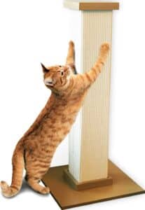 SmartCat Pioneer Pet Ultimate Scratching Post