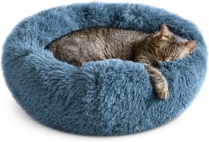 Whiskers & Friends Cat Beds
