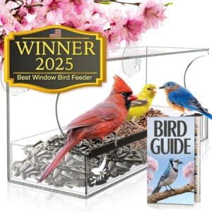 Window Bird Feeder by Nature's Hangout