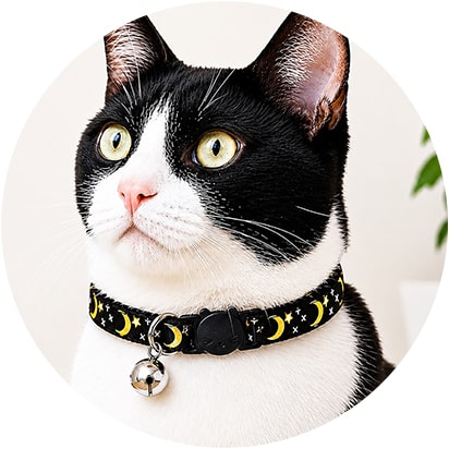 Cat Collars Products