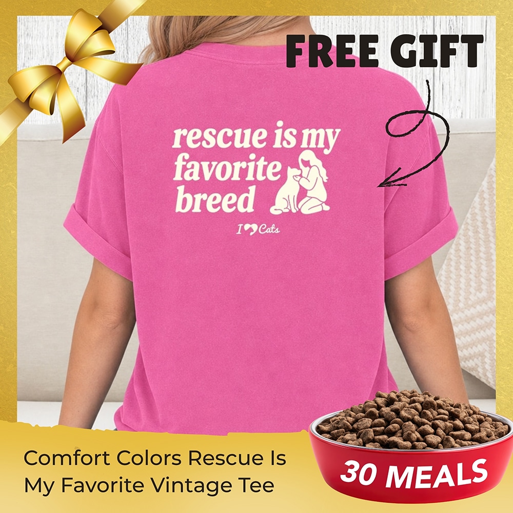 FUND 30 Meals For $30 and Get A FREE Comfort Colors Rescue Is My Favorite Vintage Washed Tee - Crunchberry