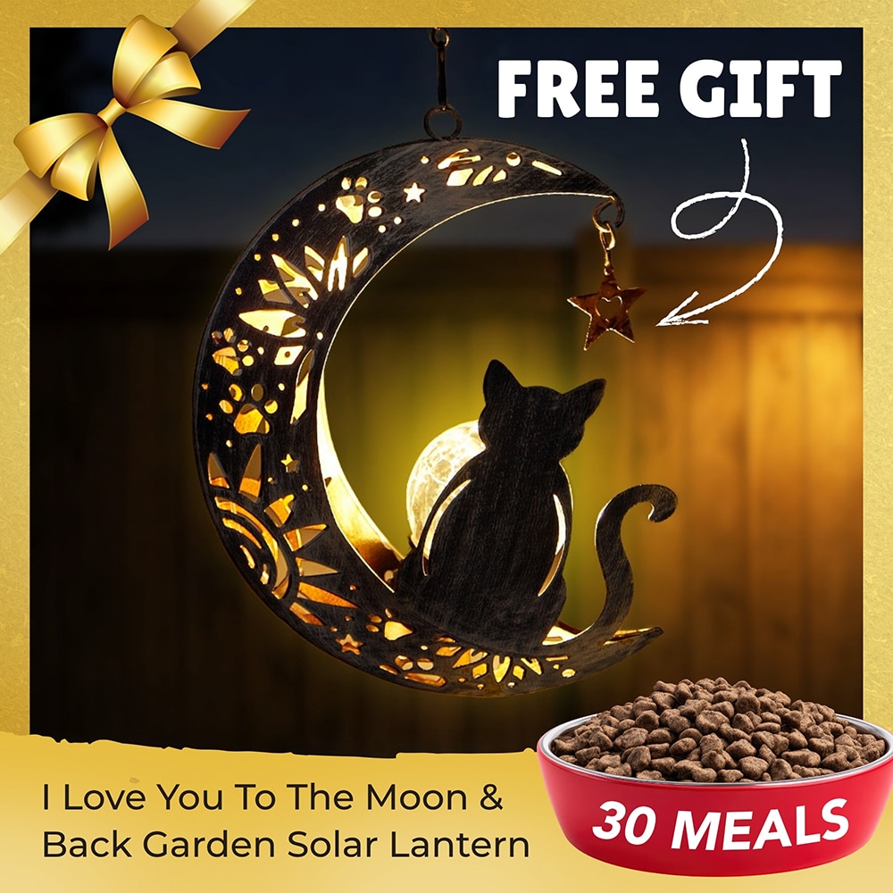 Fund 30 Meals for $30 and Get a FREE I Love You To The Moon & Back- The Ultimate Garden Solar Lantern for Cat Lovers