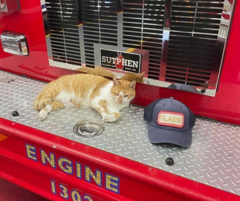 Flame at Fire Station