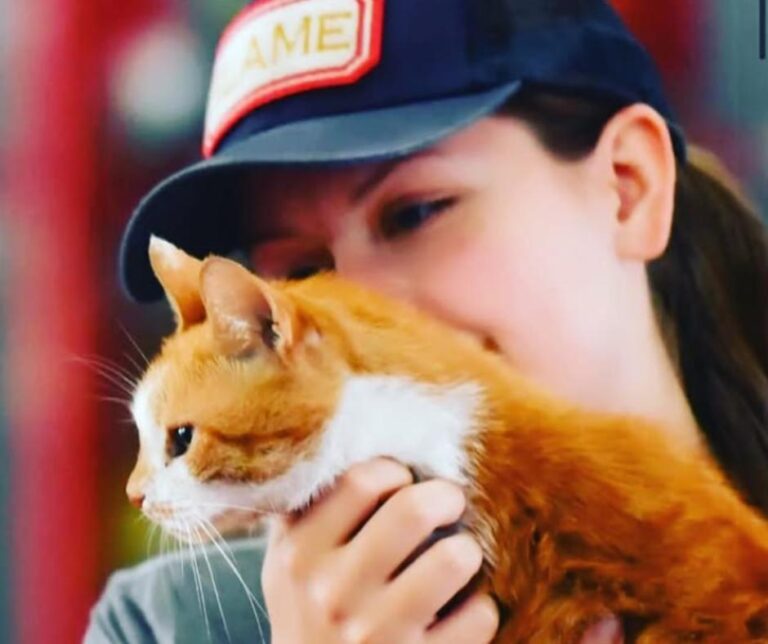 Flame and Firefighter
