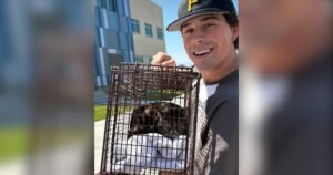 PetWireDaily — After a Devastating Fire, Toast the Cat Gets the Happy Ending Everyone Hoped For
