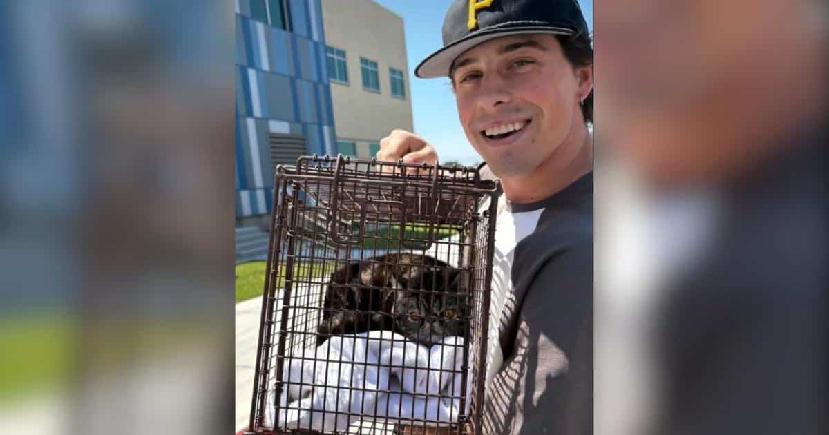 Un gatto è stato ritrovato vivo dopo un incendio in un appartamento, con la famiglia che lo abbraccia