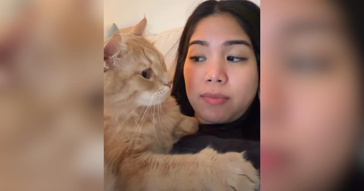 Un gatto e la sua padrona si esibiscono in un duetto musicale