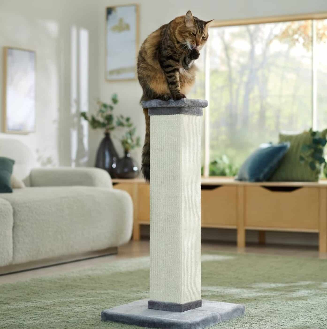 Frisco 33-Inch Heavy Duty Sisal Cat Scratching Post