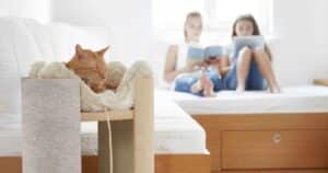 PetWireDaily — Modern Cat Furniture That Doesn’t Look Like a Cat Tree