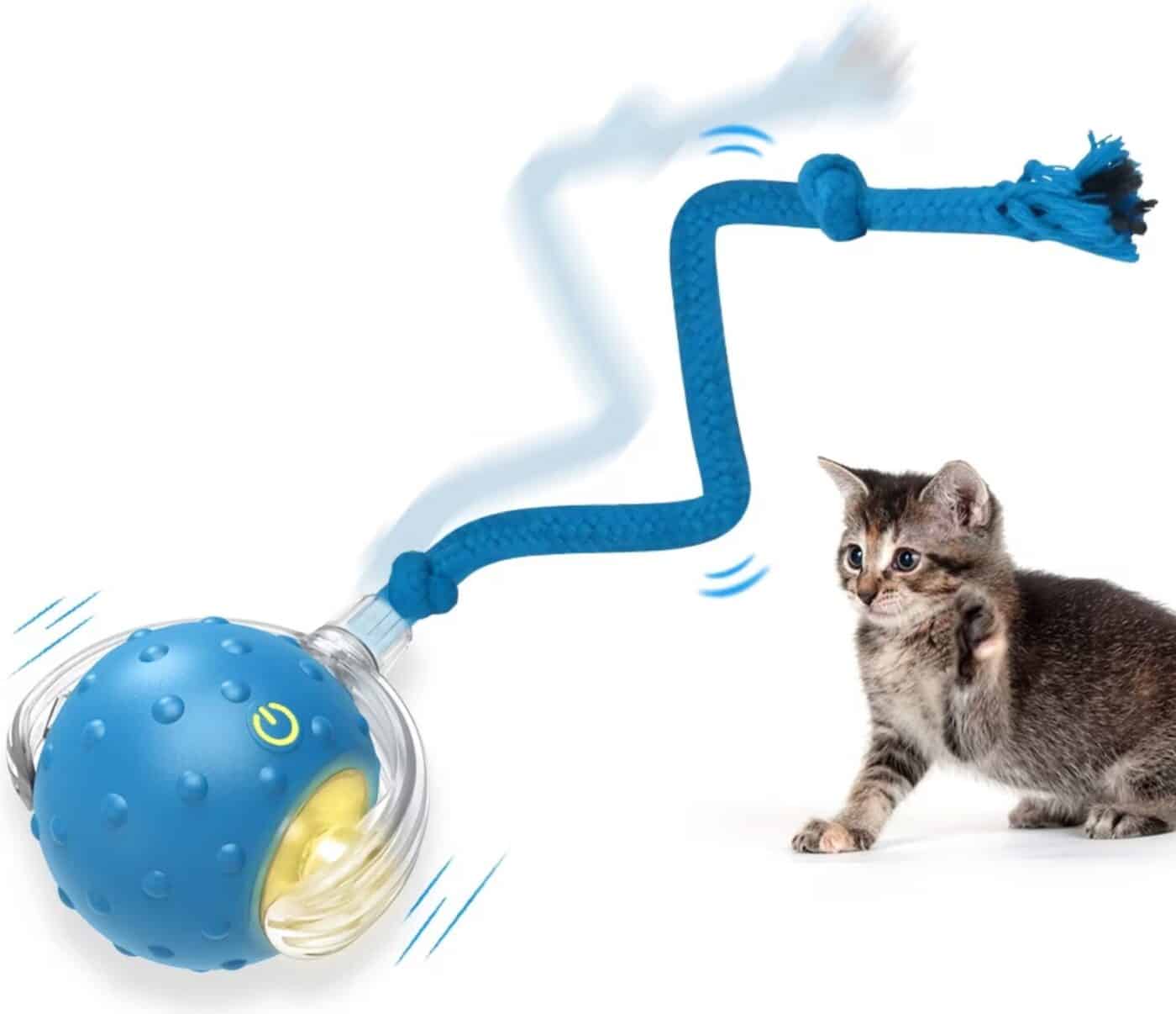 PawsPik Chirp & Chase Motion Activated Cat Ball