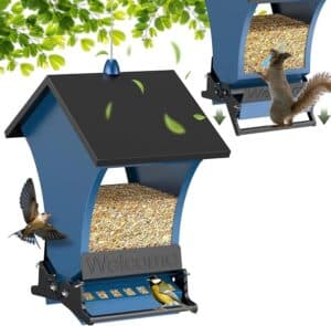 Wildpark Squirrel Proof Bird Feeders for Outdoors