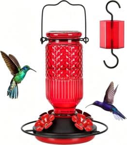 FEED GARDEN Glass Hummingbird Feeder
