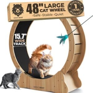 Walnut Wood 48'' XL Cat Wheel - Cat Wheels