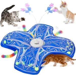 Qraxond Interactive Cat Toys