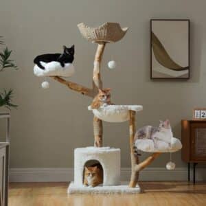 PAWZ Road 59" Modern Cat Tree