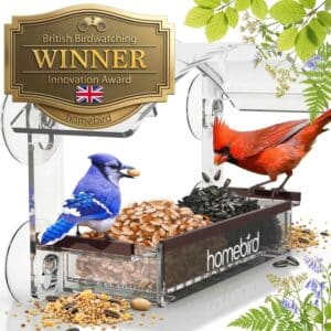 Window Bird Feeder with Strong Suction Cups