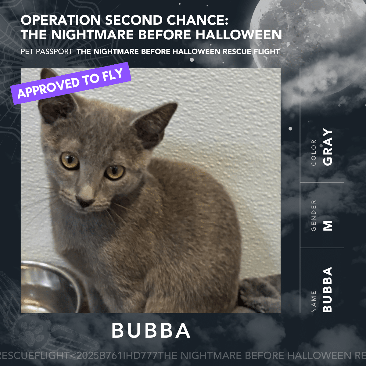 Bubba - Rescue Flight Passports