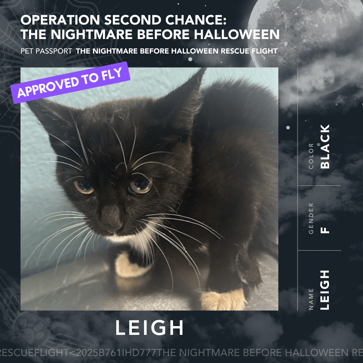 Leigh - Rescue Flight Passports