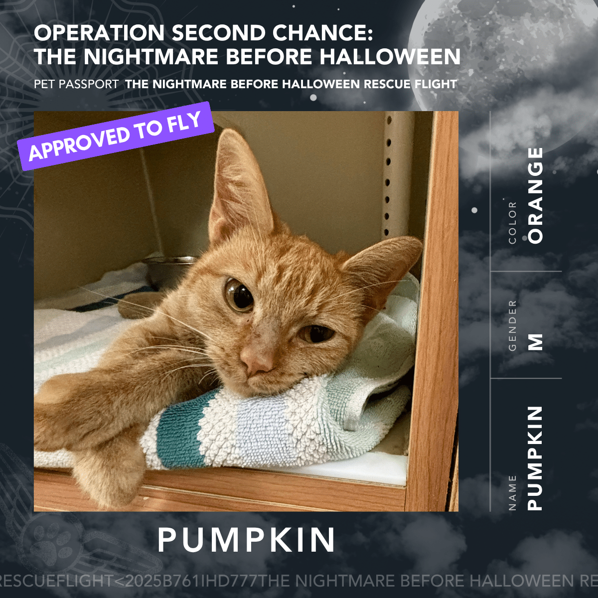 Pumpkin - Rescue Flight Passports