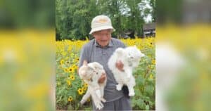 Cat Dad and Cats