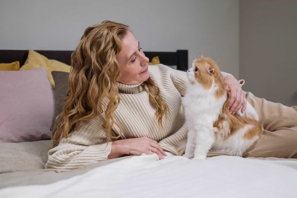 An expressive cat looking up at their human while meowing during a familiar interaction.