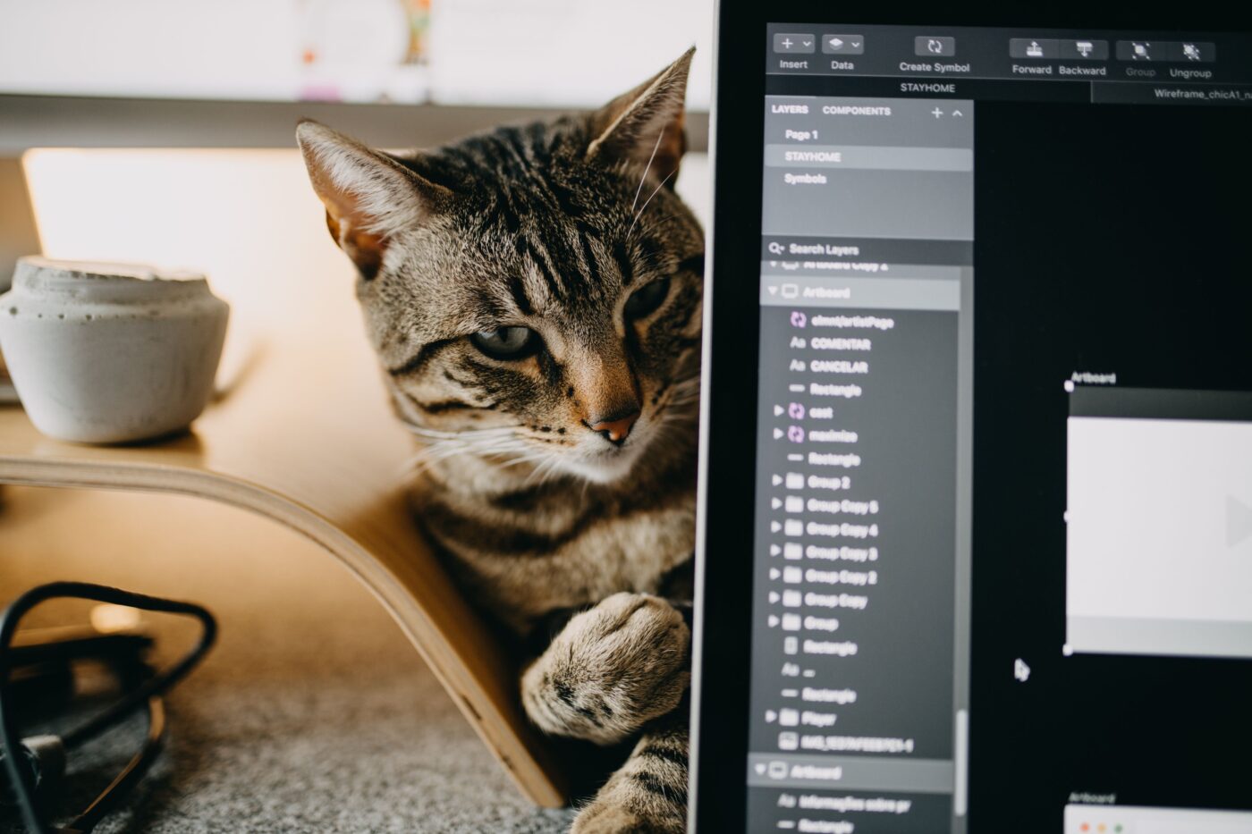 A curious cat sniffing the edge of a laptop before settling comfortably beside the keyboard.