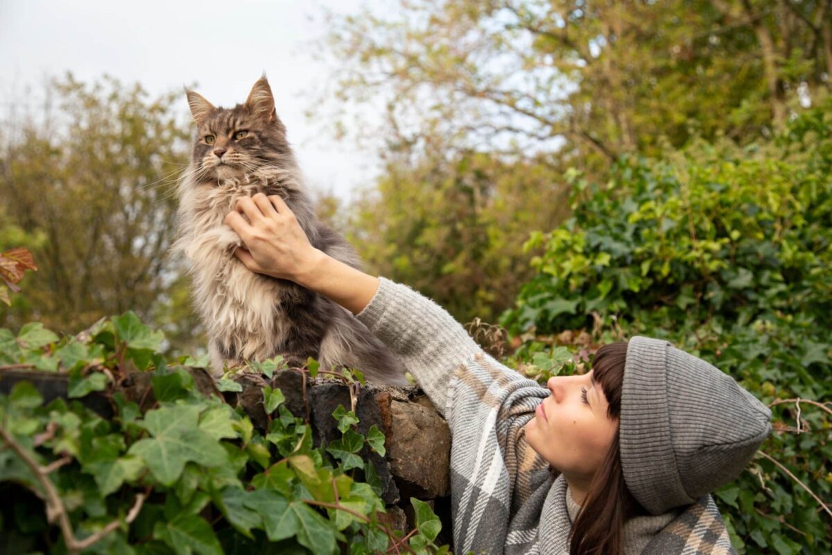 A sociable cat confidently sitting among family members in a lively home setting, capturing the personality of breeds that enjoy being the center of attention.