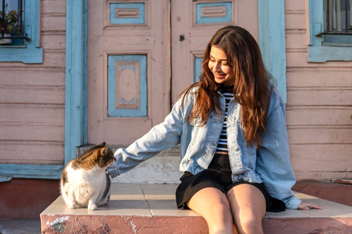 A content cat quietly sitting near their human and enjoying peaceful shared company.
