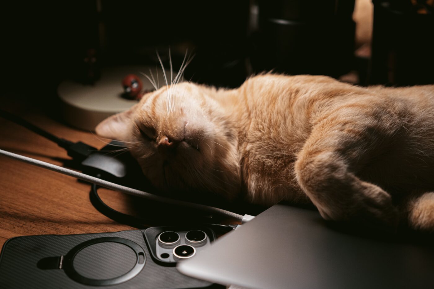 A cat on a laptop sleeping comfortably.