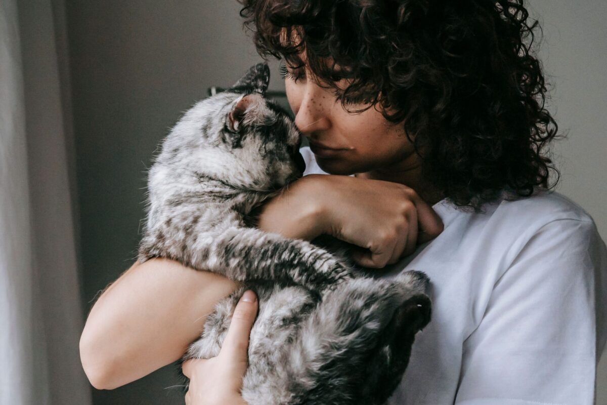 An affectionate cat gently rubbing their cheek against their human's hand.
