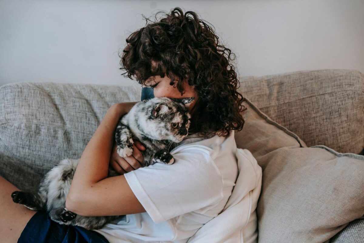 A relaxed cat gently rubbing their cheek against their human during a friendly interaction.