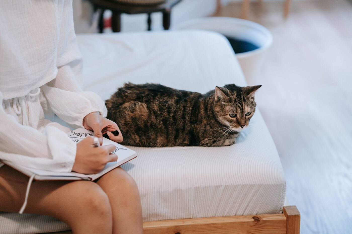 A peaceful cat resting close beside their human with relaxed eyes and a comfortable posture.
