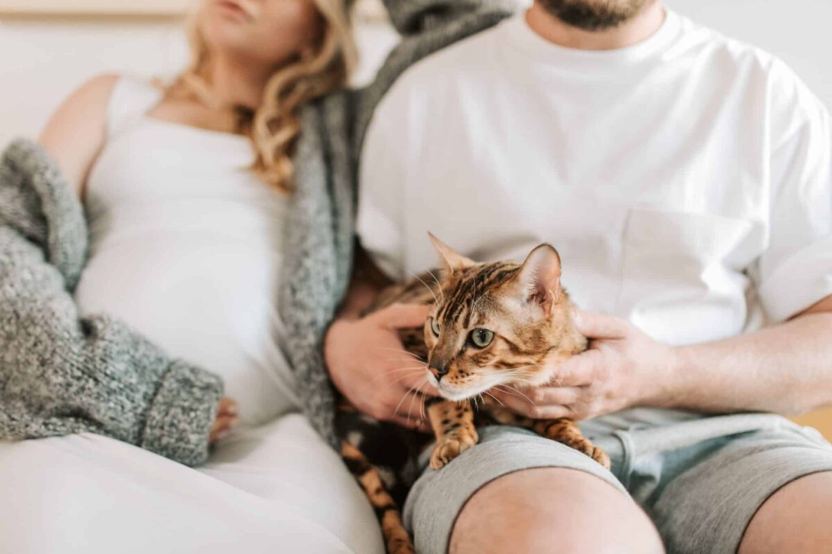 An expectant cat waiting attentively near their human around their usual mealtime.