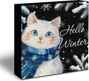 Kneaotoaji Hello Winter Wooden Box Sign 