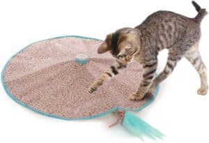  SmartyKat Hidden Hijinks Toy