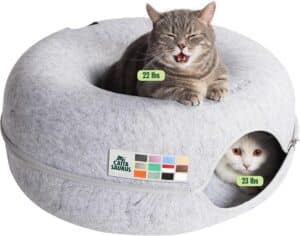 Peekaboo Cat Cave Donut