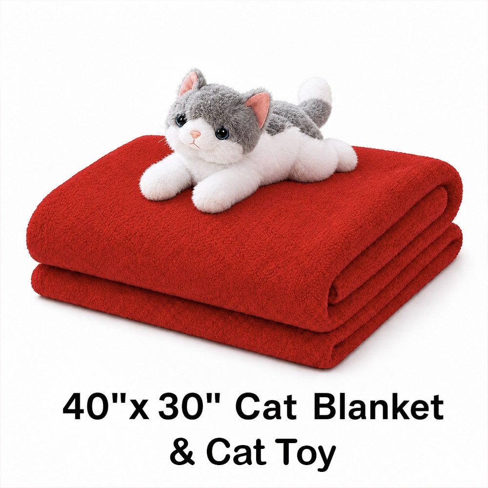 Send a Kitty Comfort Toy & Blanket Care Pack to a Shelter Cat - Image 2