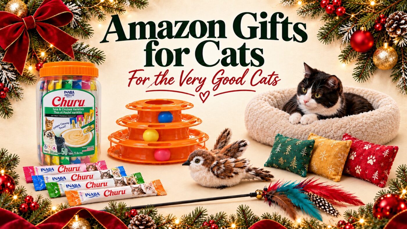 Cozy Christmas gift ideas for cats including toys, beds, and holiday accessories