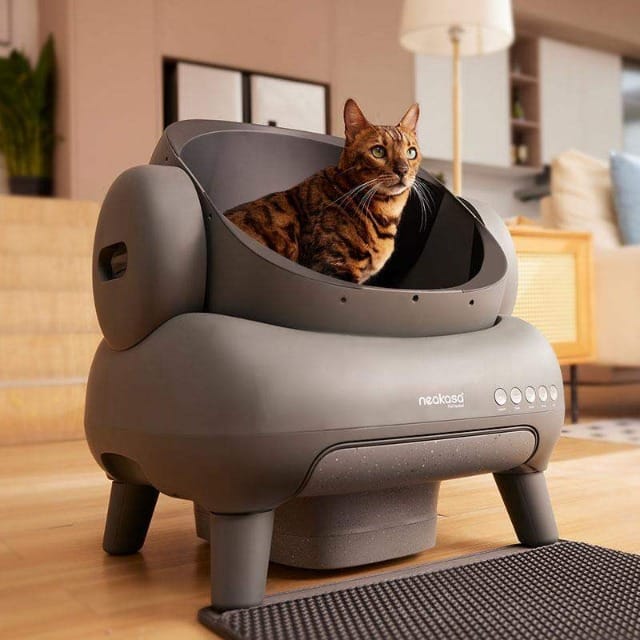 Neakasa M1 Plus self-cleaning cat litter box with open-top spacious design and app monitoring