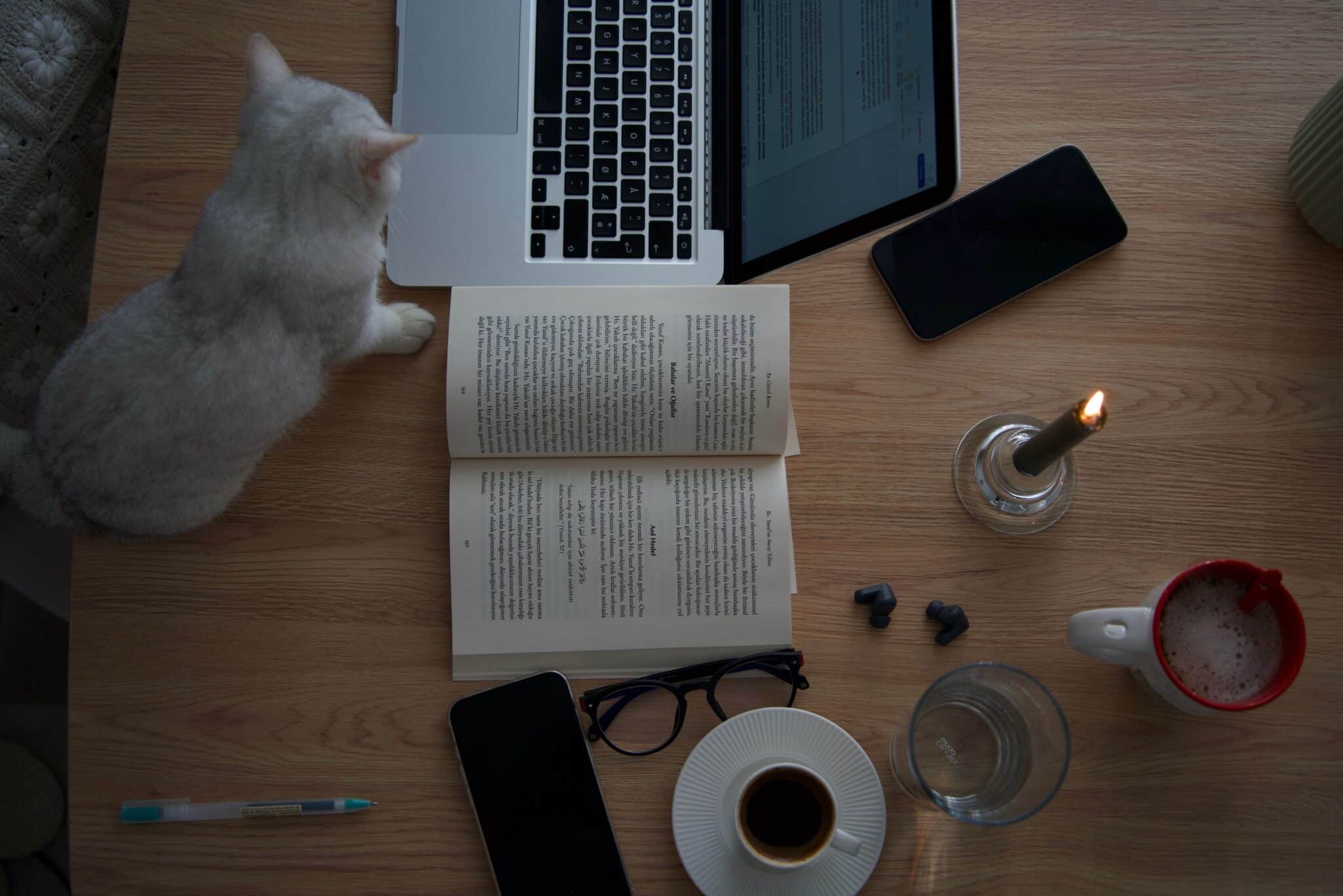 A curious cat sitting beside a notebook and cup on a desk while its person works.