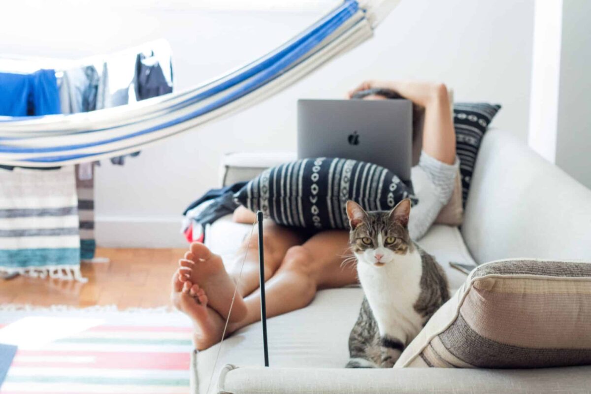 A cat relaxing near their person asleep at the foot of the bed, or relaxing nearby while their person works.