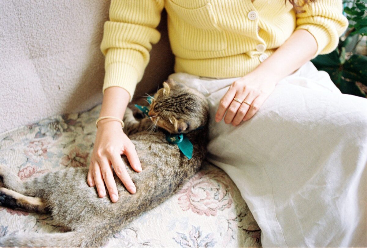 A black-and-white cat resting beside a person on a comfortable couch during a cool evening.