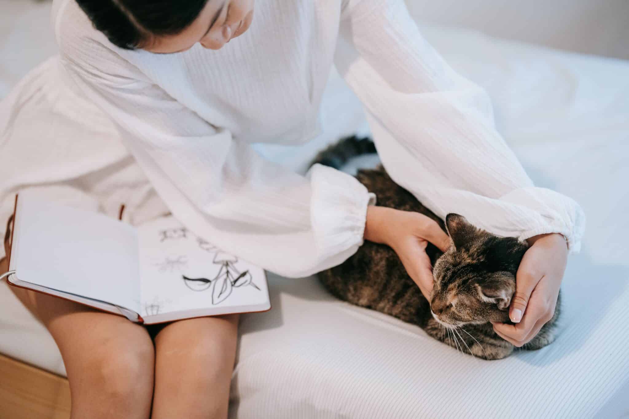 A calm cat sitting beside its owner as they relax quietly on a sofa.