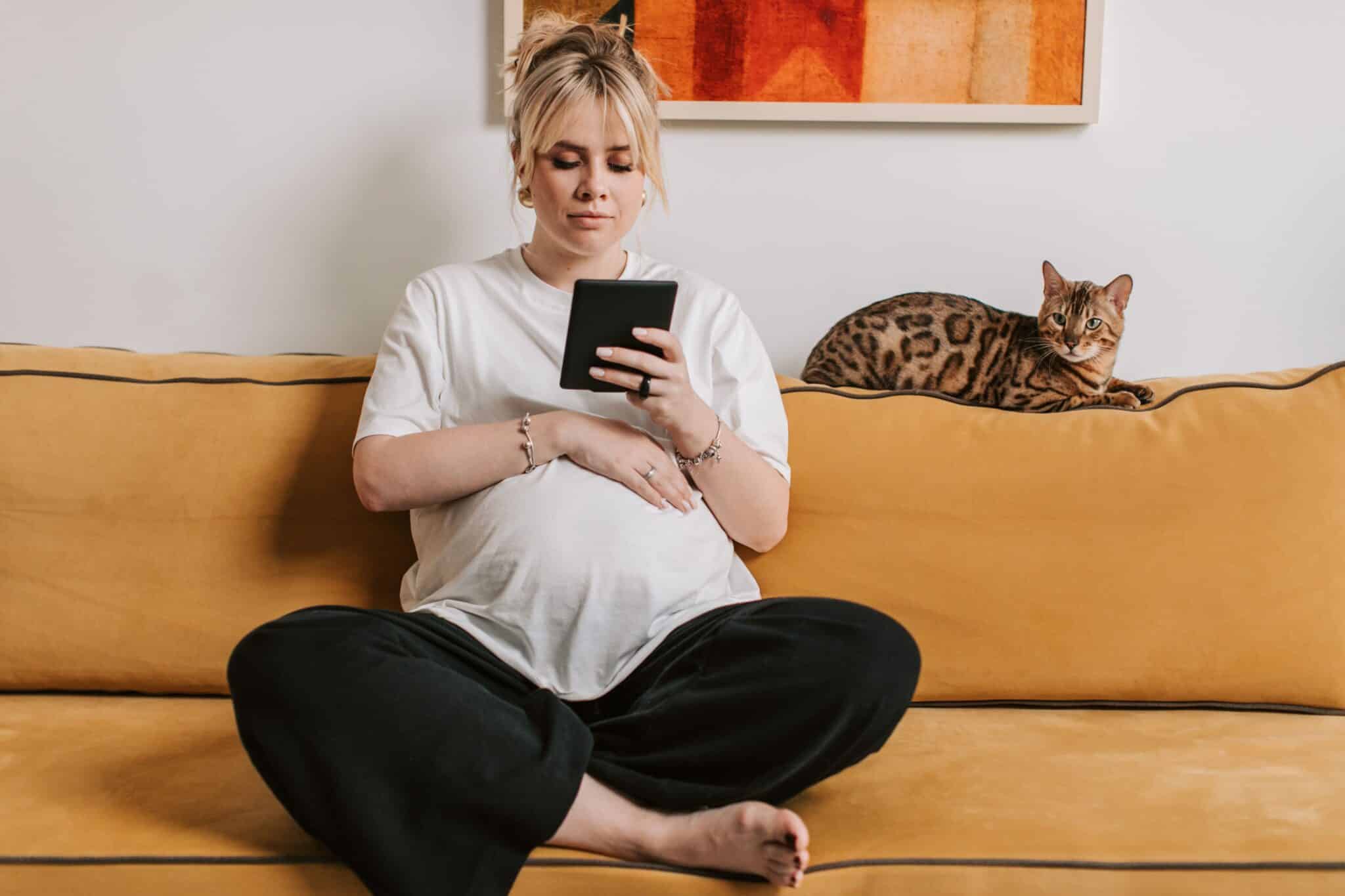 A calm cat sitting near its owner on a sofa in a quiet living room.