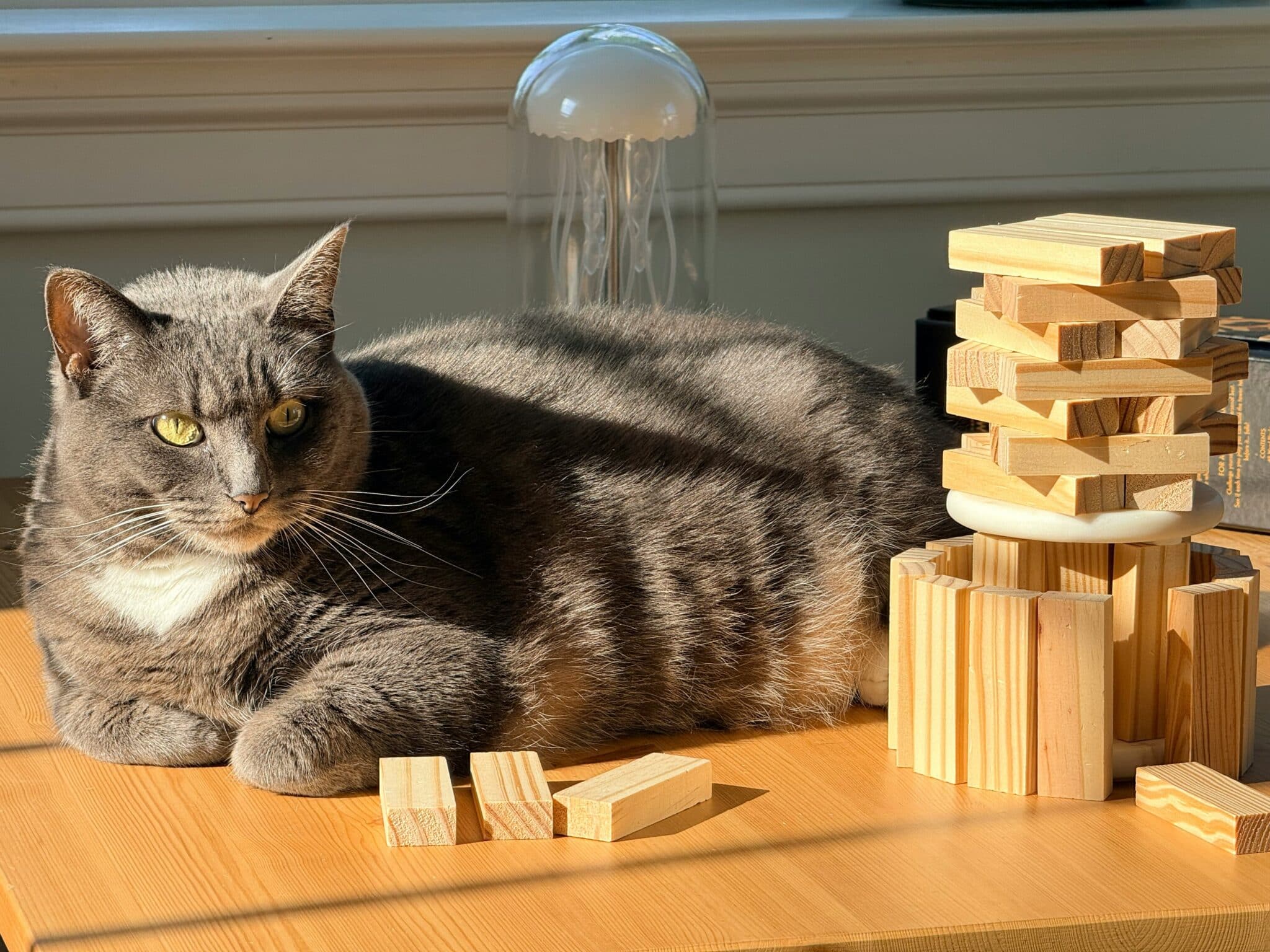 A tabby cat relaxing on a secure window perch overlooking a leafy garden.